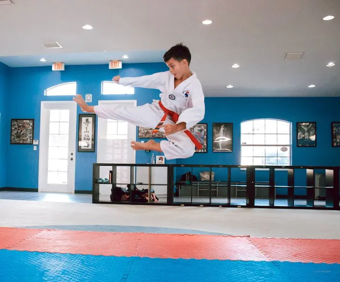 Wesley Chapel Martial Arts Academy Picture 5