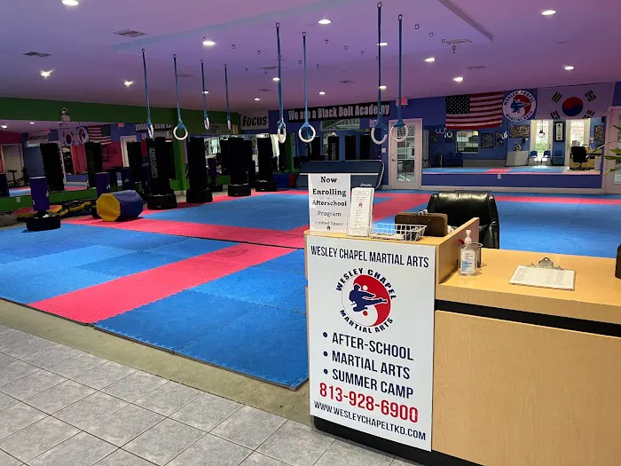Wesley Chapel Martial Arts Academy Picture 6