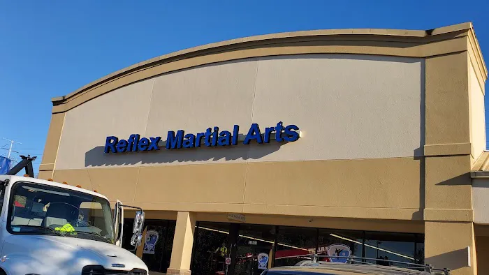 Reflex Martial Arts Picture 8