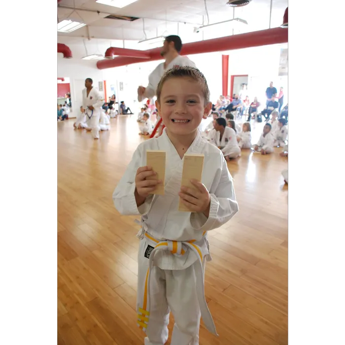 Traditional Tae Kwon-Do Citrus Park Picture 2