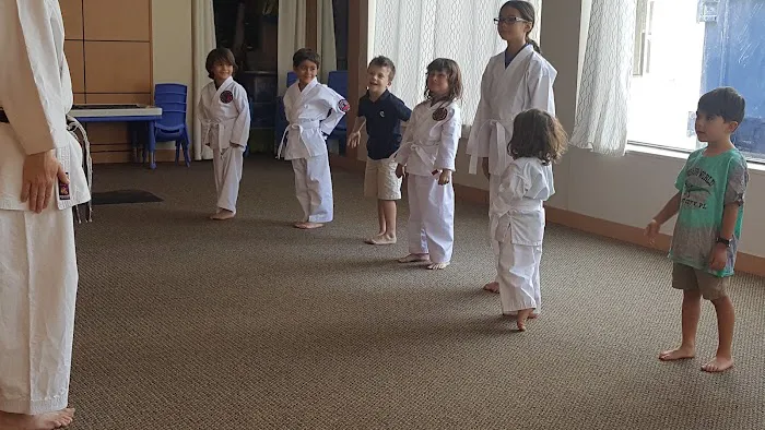 Koenig Martial Arts Picture 1