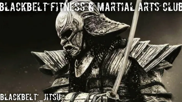 BlackBelt Fitness & Martial Arts Club Picture 10