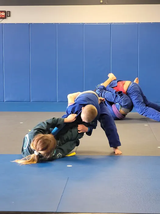 Empowered Martial Arts & Gracie Humaita Jiu Jitsu Tampa Picture 6