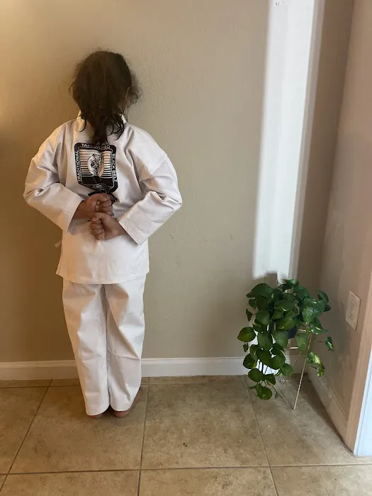 Traditional Taekwon-Do Lutz Picture 2