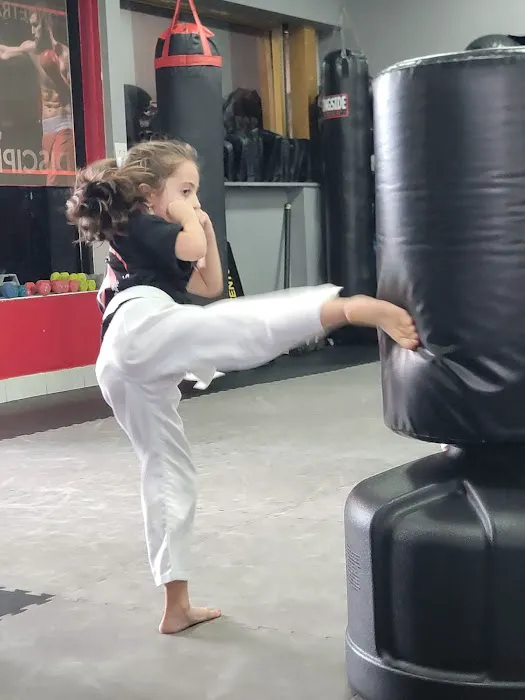 SL Fitness & Martial Arts Picture 7