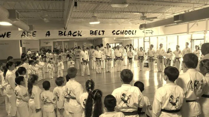 Traditional TaeKwon-Do Center of Westchase Picture 9