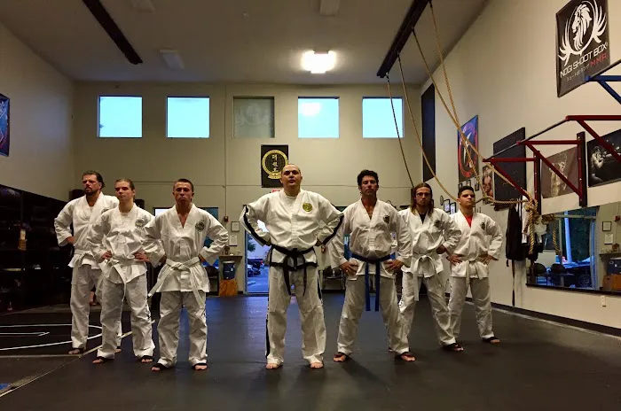 INTERNATIONAL TAEKWON-DO ORGANIZATION (ITOTKD) Picture 10