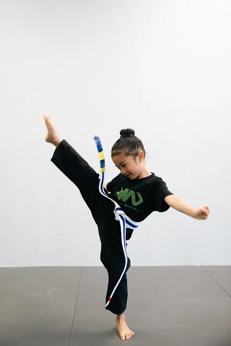 The Martial Arts Center Picture 4