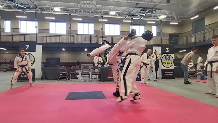 Mettle Family Martial Arts Picture 9