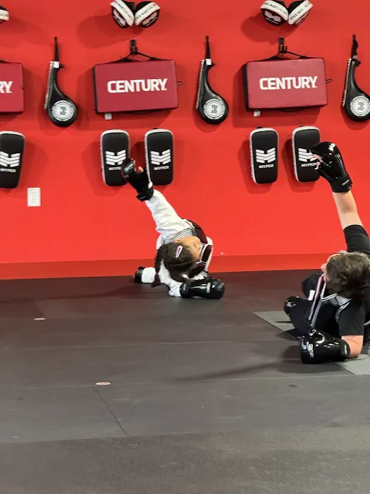 Hero Family Martial Arts Picture 1
