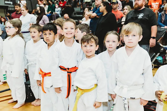 Hero Family Martial Arts Picture 6