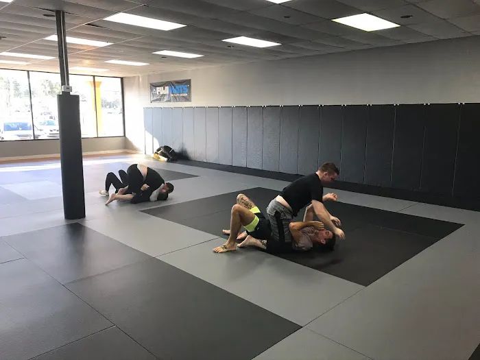 10th Planet Jiu Jitsu Orange Park Picture 8