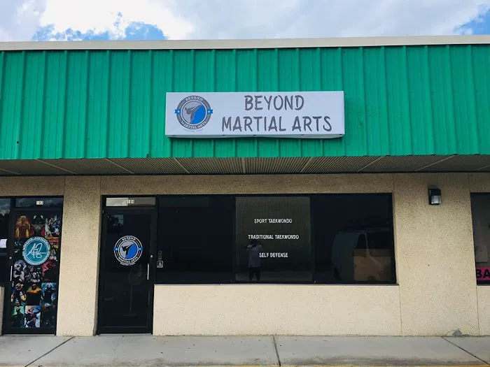 Beyond Martial Arts TKD Academy Picture 7