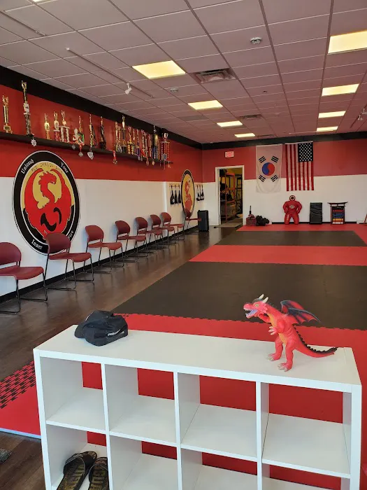 Red Dragon Martial Arts Picture 7