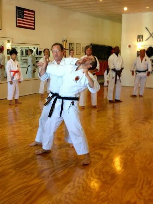Shobukan Martial Arts Academy Picture 7