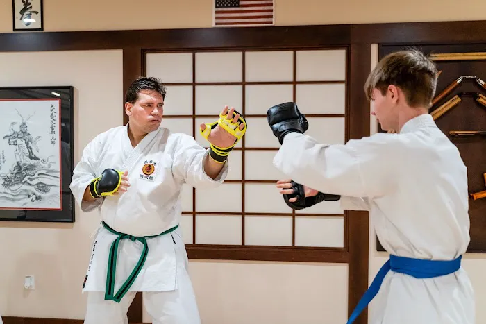 Shobukan Martial Arts Academy Picture 10