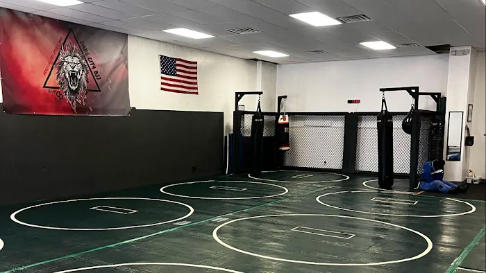 Dade City BJJ Picture 4