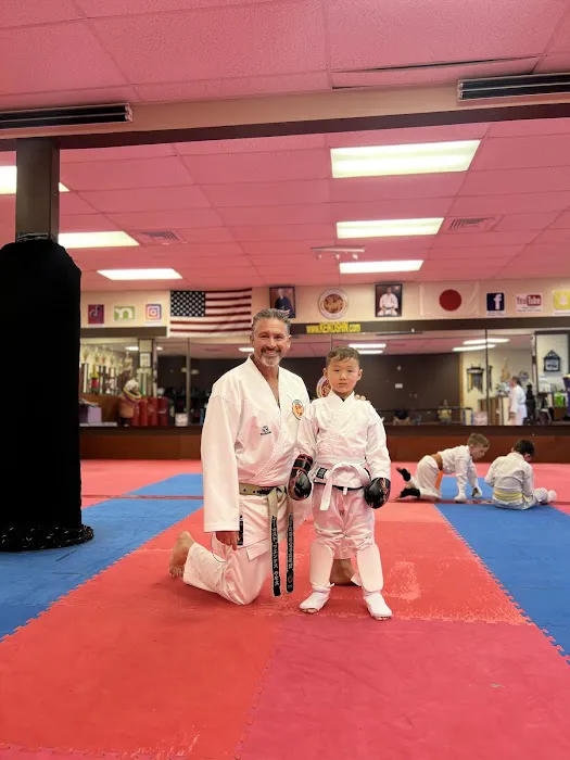 Keiko Shin Karate Academy Picture 4