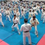 Keiko Shin Karate Academy
