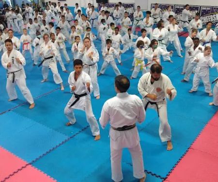 Keiko Shin Karate Academy