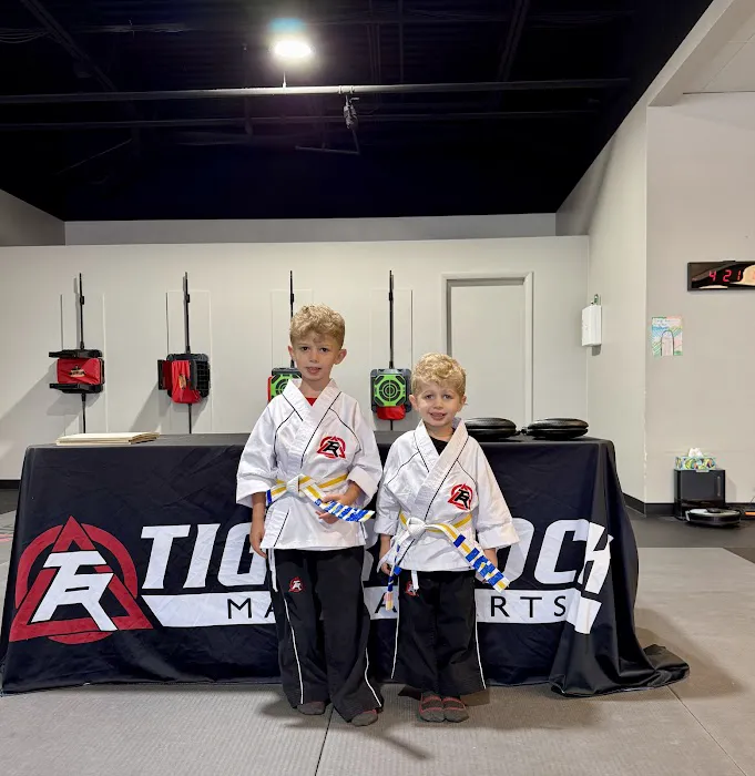 Finney's Tiger Rock Martial Arts, LLC Picture 1