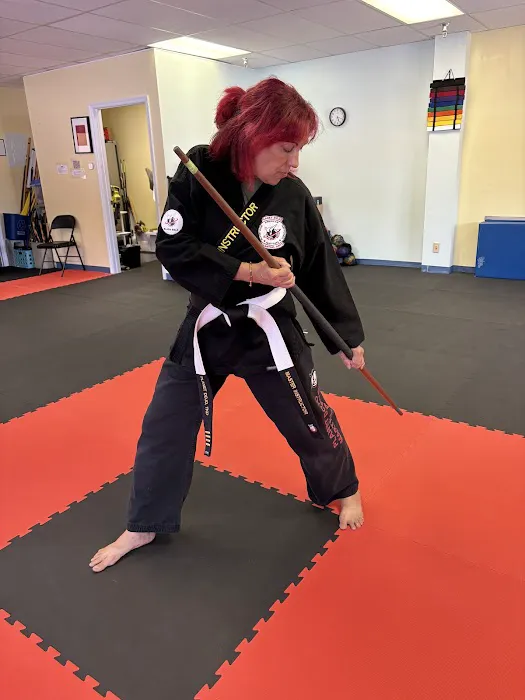 Planet Dojo Martial Arts Picture 3