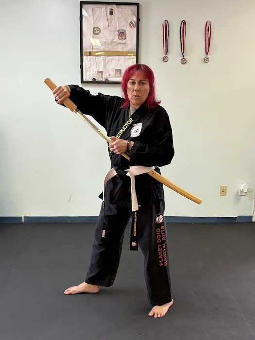 Planet Dojo Martial Arts Picture 10