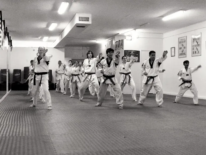 Master Tony Perri Taekwondo Picture 3
