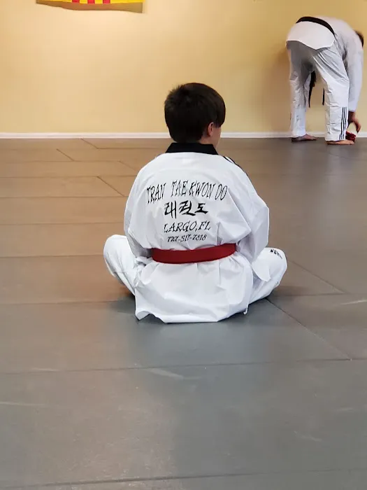 Tran Tae Kwon Do Picture 1