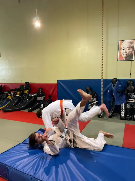 Tampa Florida Judo and Mixed Martial Arts Picture 2