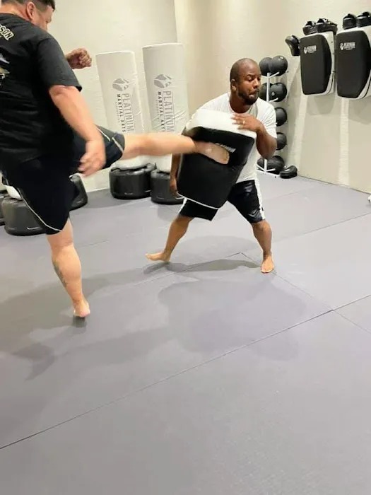 PLATINUM MARTIAL ARTS KICKBOXING OLDSMAR Picture 9
