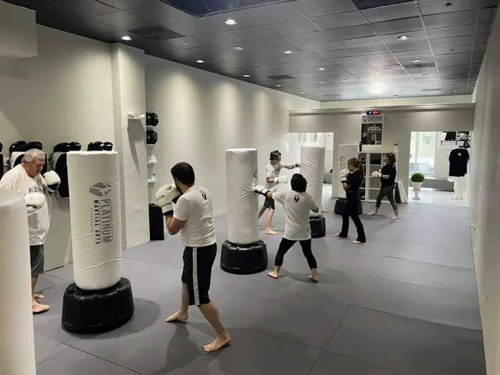 PLATINUM MARTIAL ARTS KICKBOXING OLDSMAR Picture 6