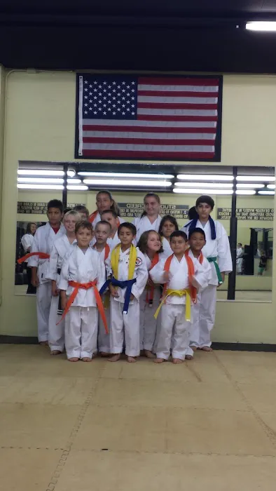 Bushido Karate Academy Picture 3