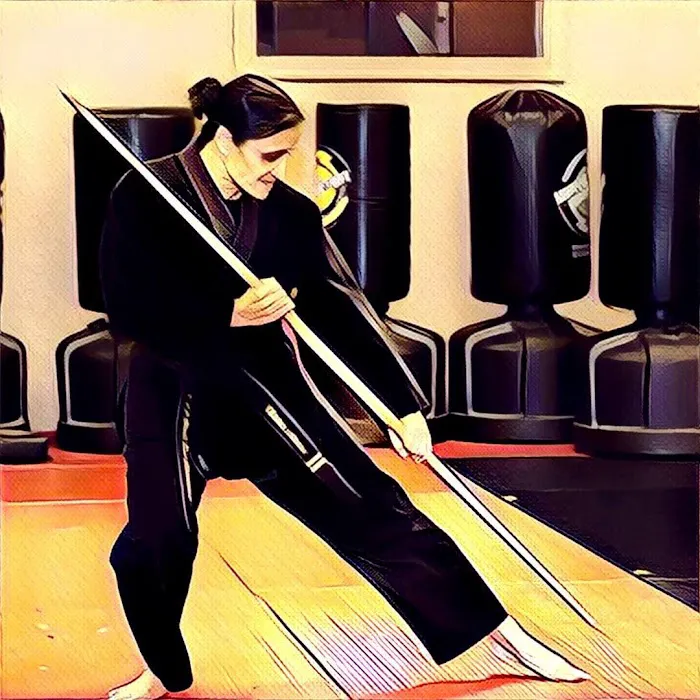 VIP International Krav Maga & Martial Arts Academy Picture 1