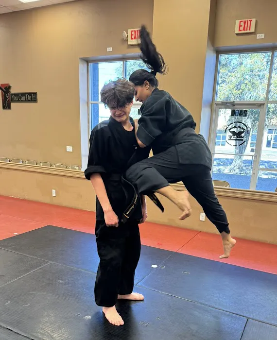 VIP International Krav Maga & Martial Arts Academy Picture 7