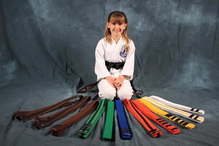 Ingram's Karate Center Picture 8
