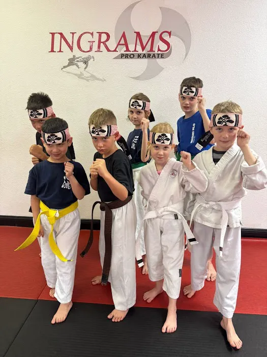 Ingram's Karate Center Picture 9