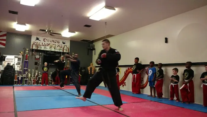 Ewing's Pai Lum Kung-fu Picture 2