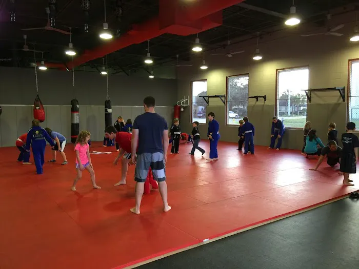 Ludus Martial Arts LLC Picture 7