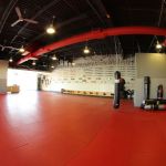 Ludus Martial Arts LLC