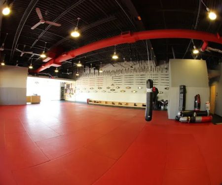 Ludus Martial Arts LLC
