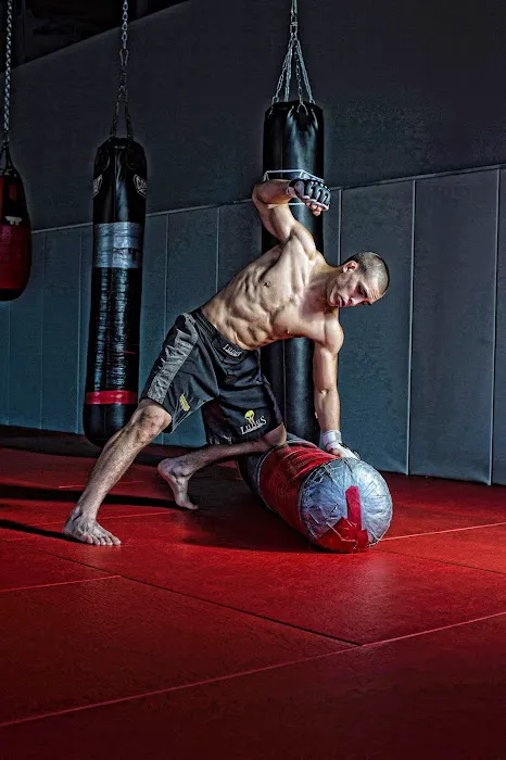 Ludus Martial Arts LLC Picture 10
