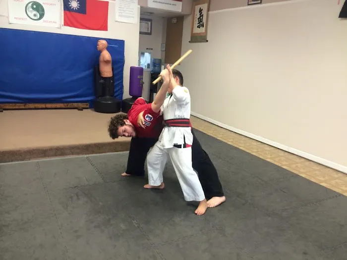 Asian Dragon Martial Arts Karate Dojo Picture 4