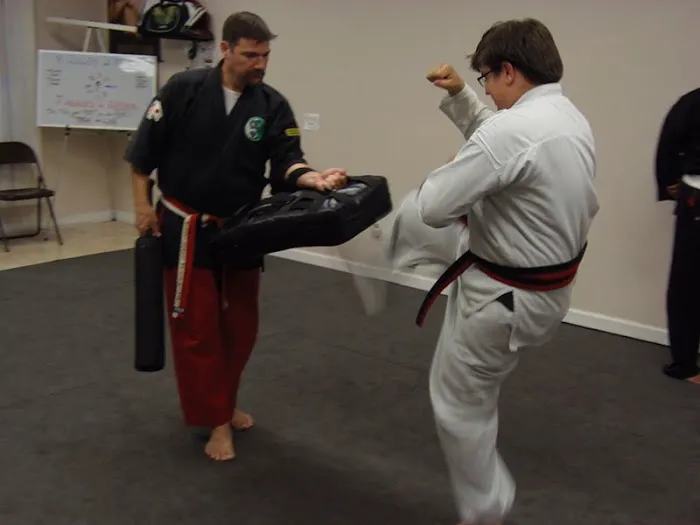 Asian Dragon Martial Arts Karate Dojo Picture 1