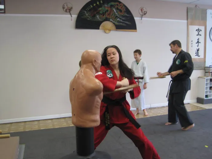 Asian Dragon Martial Arts Karate Dojo Picture 10