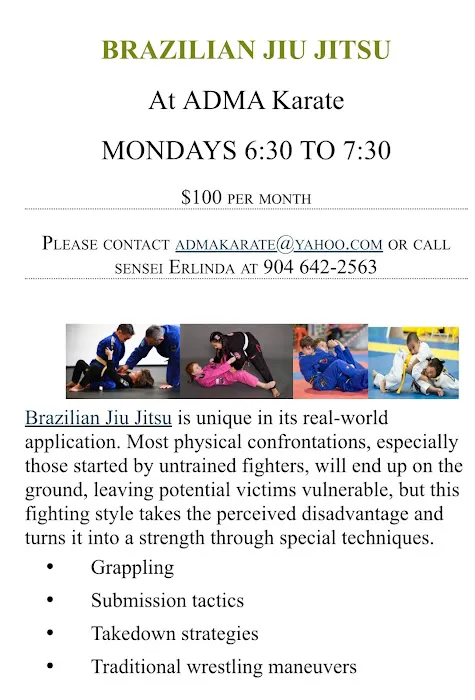 Asian Dragon Martial Arts Karate Dojo Picture 7