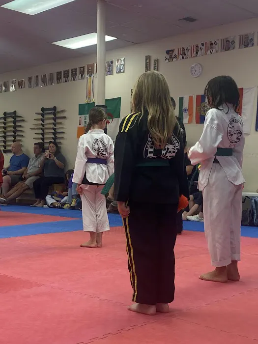 Lee's Taekwondo Academy Picture 1