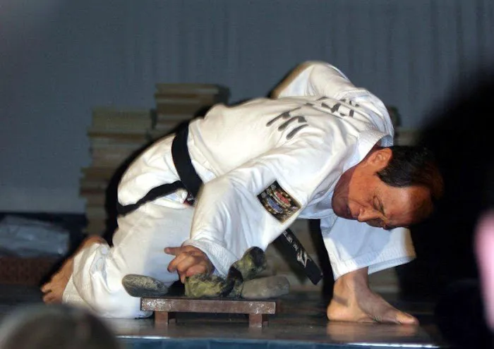 Traditional Taekwon-Do Dunedin Picture 5