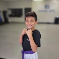 D3 Martial Arts ico