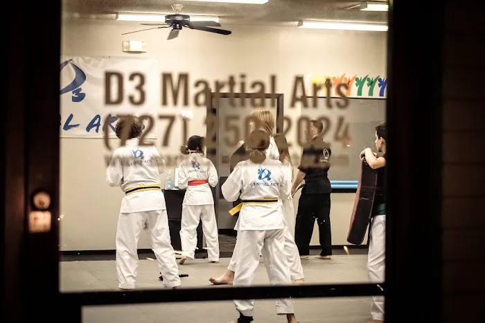 D3 Martial Arts Picture 5